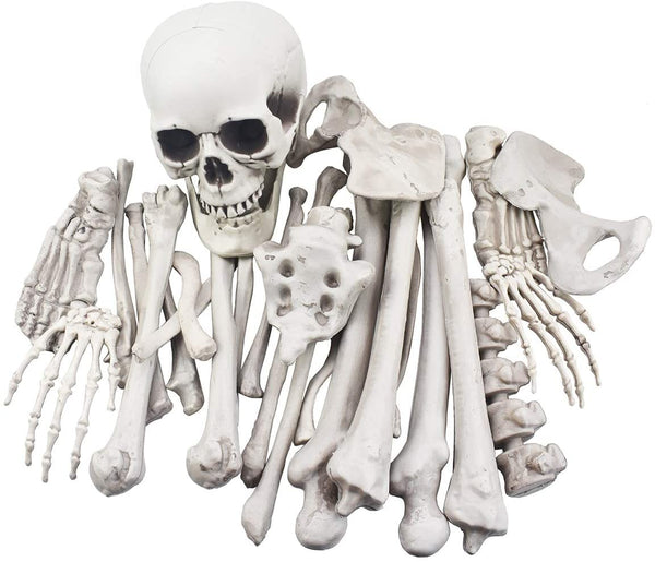 HAPPIWIZ Artificial Skeleton Bones and Skull for Halloween Decor, 28 Pieces