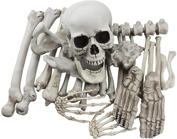 HAPPIWIZ Artificial Skeleton Bones and Skull for Halloween Decor, 28 Pieces